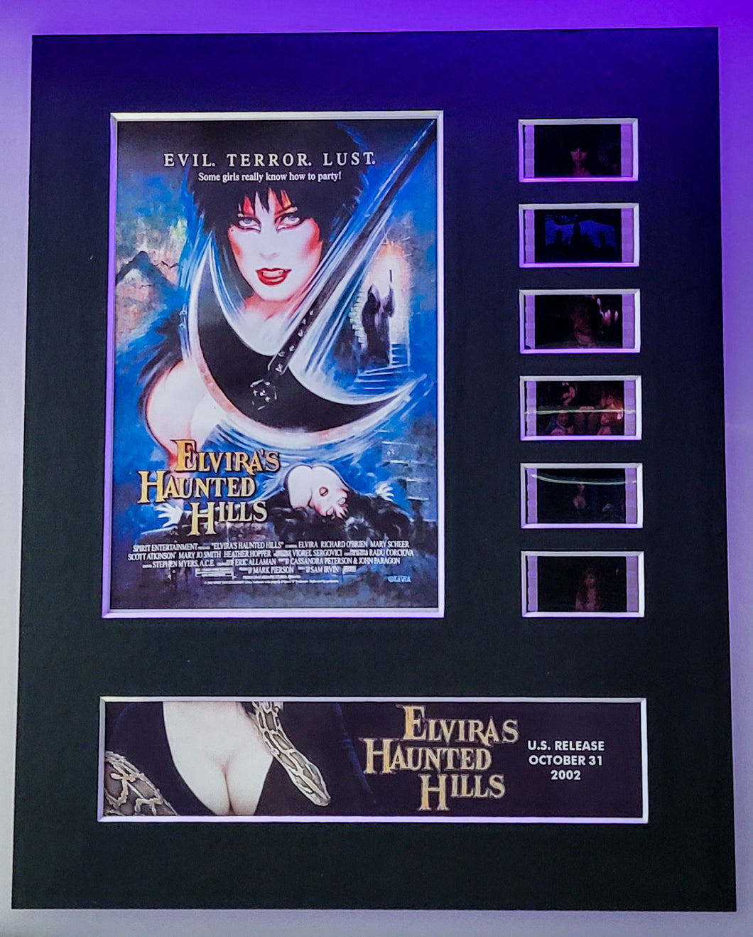 ELVIRA Elvira's Haunted Hills  35mm Movie Film Cell Display 8x10 Presentation Horror